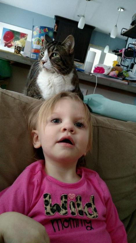 IMG952018021595164919041