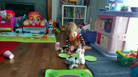 IMG95201802189508454105295HDR