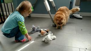 IMG952018021895135414760