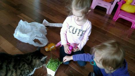 IMG952018031795111943687