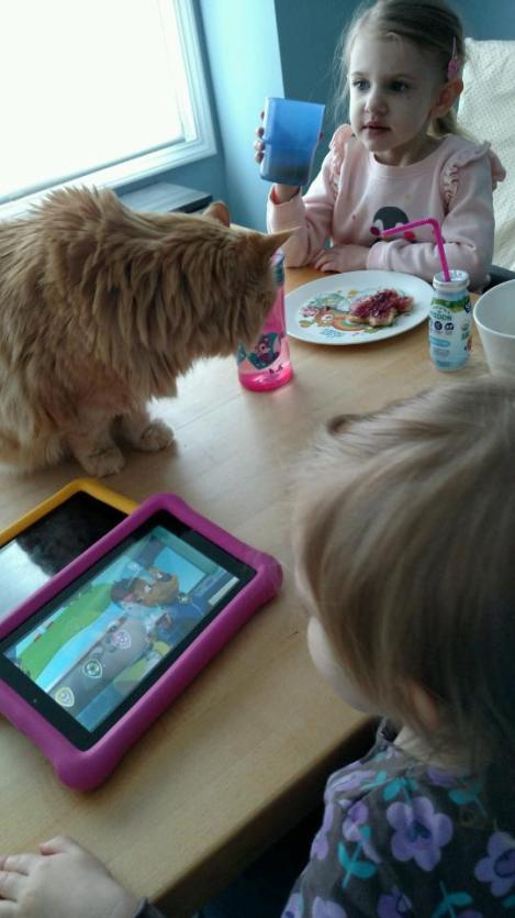 IMG952018041795091443117