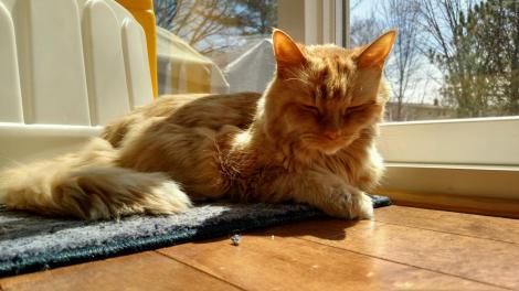 IMG95201804229513043999395HDR