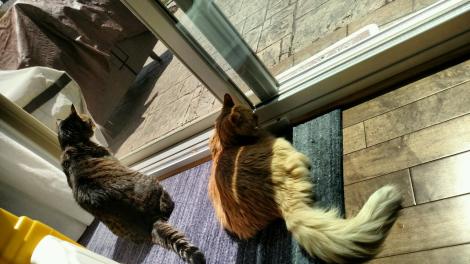 IMG952018042295132144865