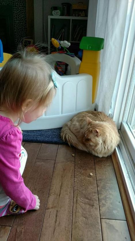 IMG952018042395083817308