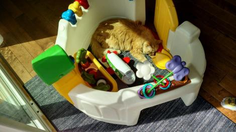 IMG95201804239514362257695HDR