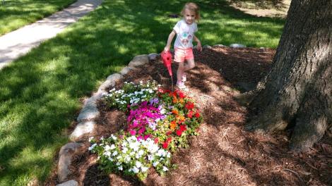 IMG95201805239516523779195BURST00095COVER