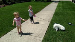 IMG952018061195130244586