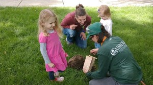 Screenshot_20180605-223742