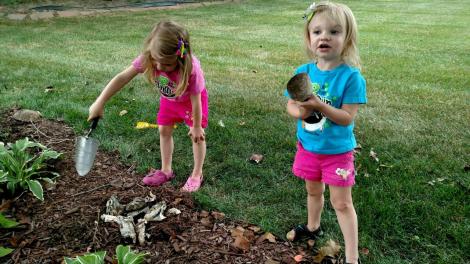 IMG952018073095152853549