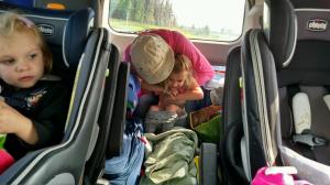 IMG95201808259516411302095HDR