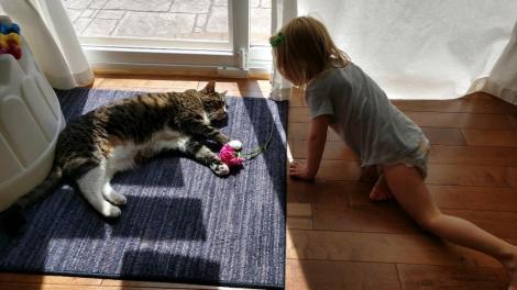 IMG95201809019512550987395HDR