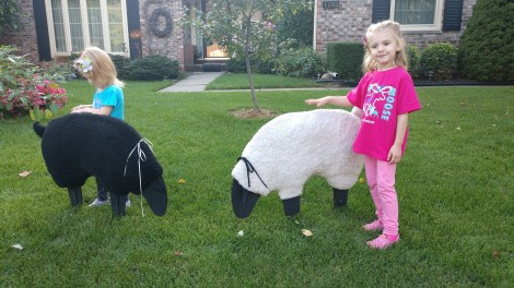 IMG_20180919_183409178