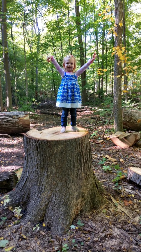 IMG_20180923_160749718_HDR