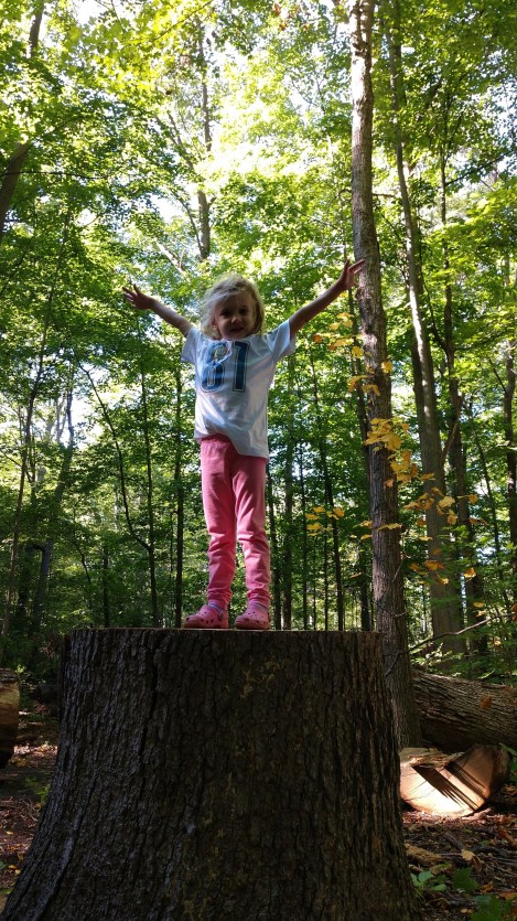 IMG_20180923_160822403