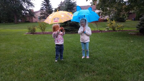 IMG_20180928_175043581_BURST000_COVER