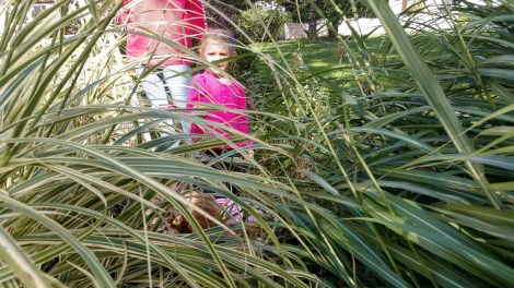 IMG_20180929_130836190_HDR