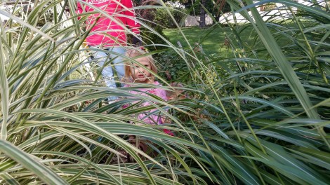 IMG_20180929_130846693_HDR