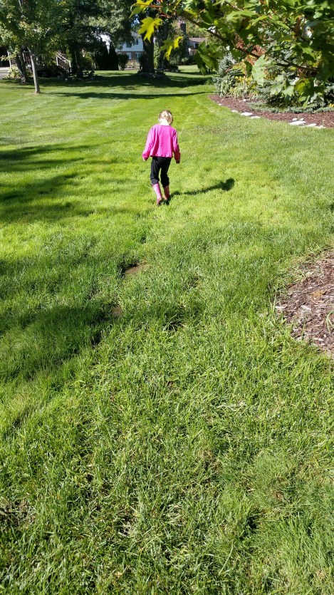 IMG_20180929_131847268_HDR