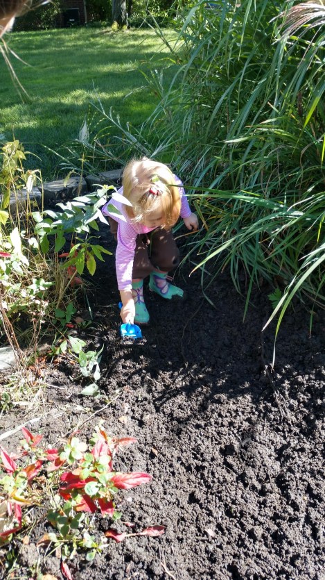 IMG_20180929_131904317_HDR