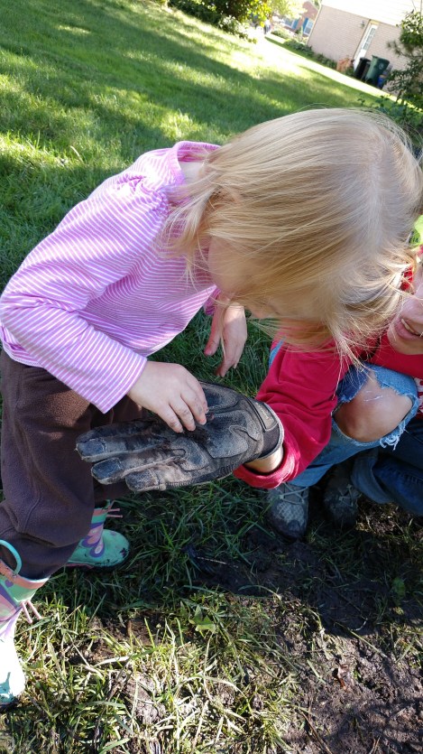 IMG_20180929_132419298_BURST000_COVER