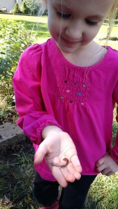 IMG_20180929_132542543