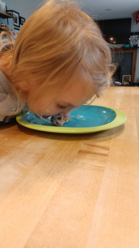 IMG_20181002_162330399_BURST000_COVER