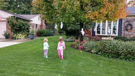 IMG_20181006_163923728_HDR