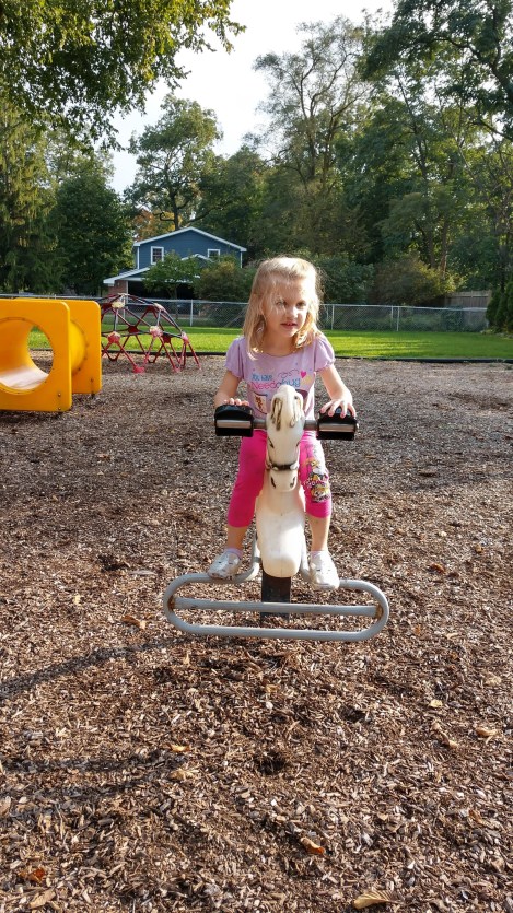 IMG_20181008_165042059_HDR