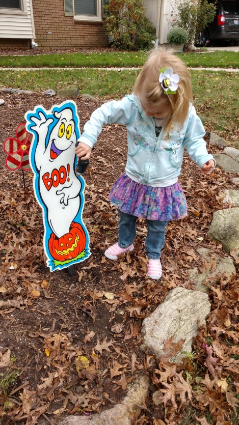 IMG_20181012_111523101_HDR