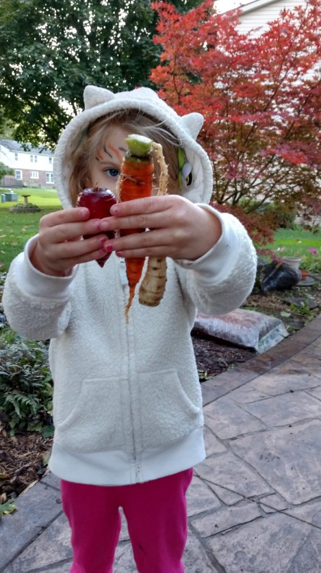 IMG_20181014_183901970_HDR