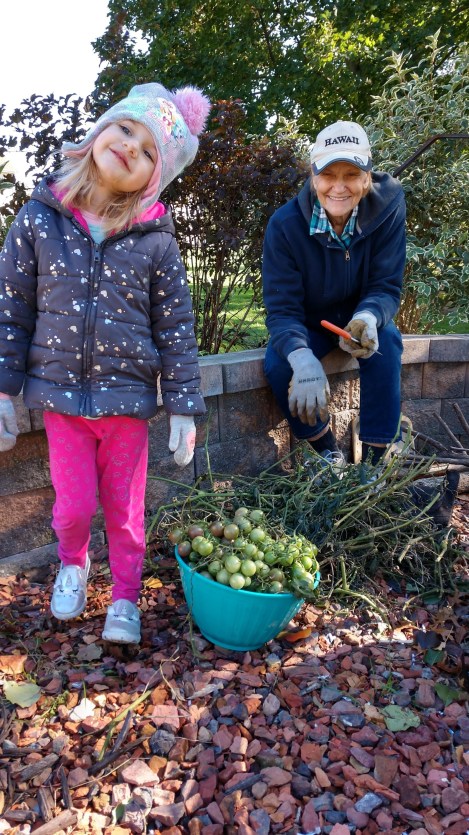 IMG_20181016_150617188_HDR