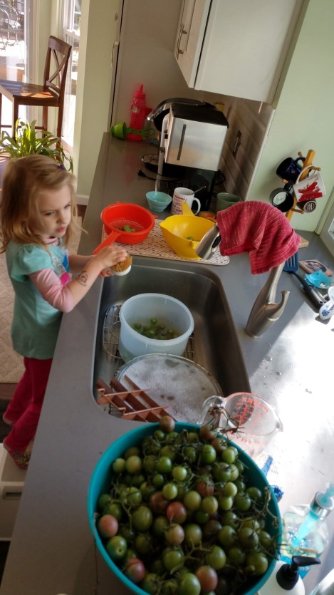 IMG_20181016_151354213_HDR