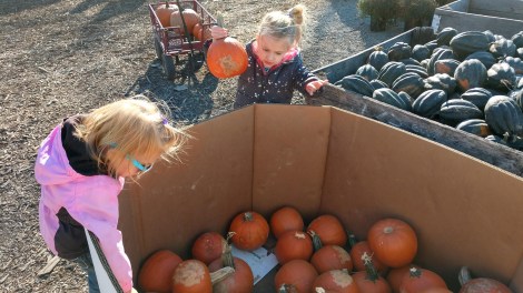 IMG_20181018_160434191_HDR