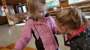 IMG_20181018_161841275_HDR