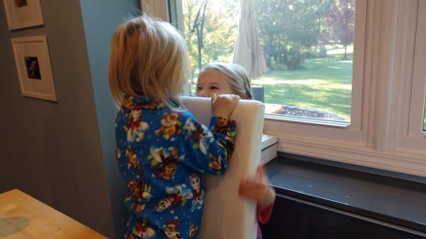 IMG_20181020_091435815_BURST000_COVER