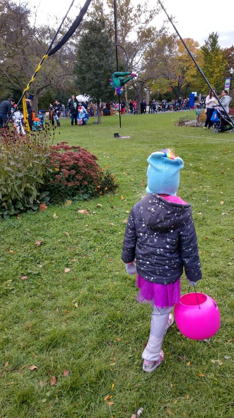 IMG_20181021_163803546_HDR