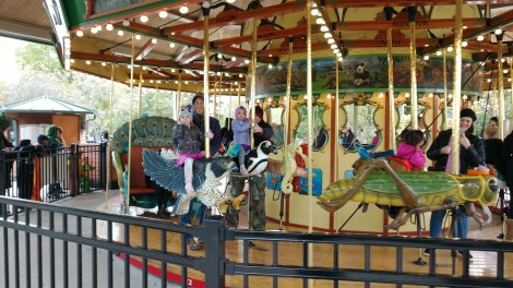 IMG_20181021_164920683