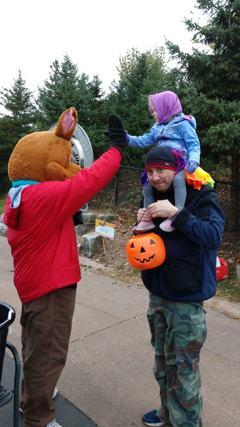 IMG_20181021_165621974_BURST000_COVER