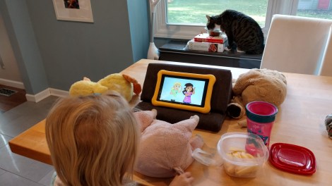 IMG_20181022_091939125_HDR