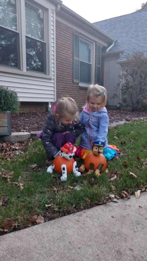 IMG_20181022_181015429_HDR