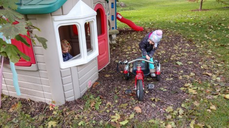 IMG_20181023_125204077_HDR