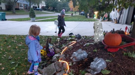 IMG_20181029_183649453_HDR