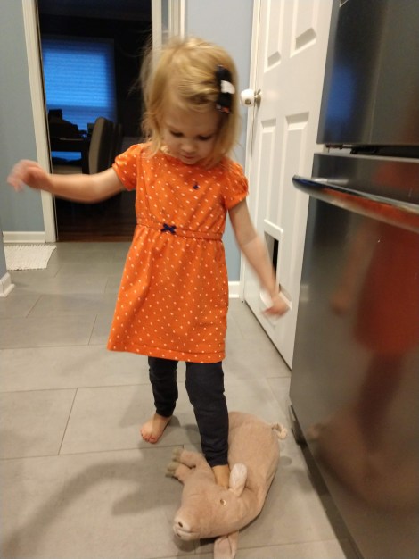 IMG_20181101_083957825