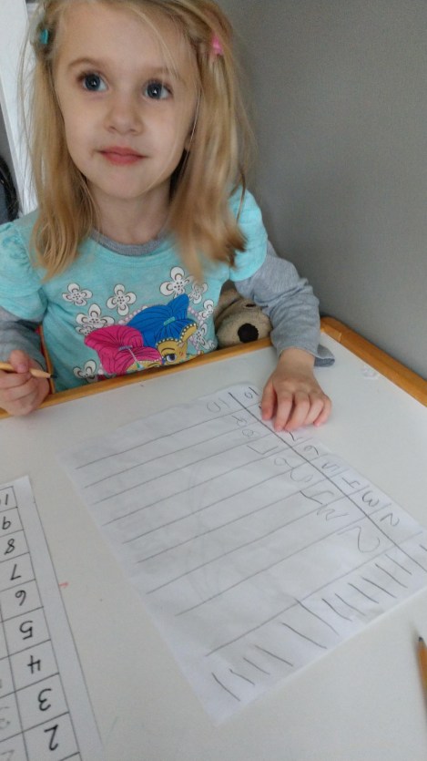 IMG_20181102_145018273