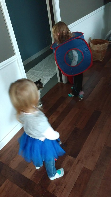 IMG_20181102_152108892