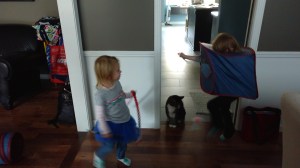 IMG_20181102_152115396