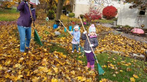 IMG_20181104_094934948_HDR