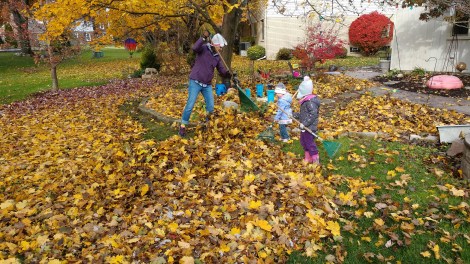 IMG_20181104_094943584_BURST005