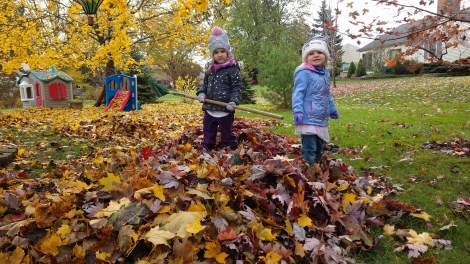 IMG_20181104_095719151