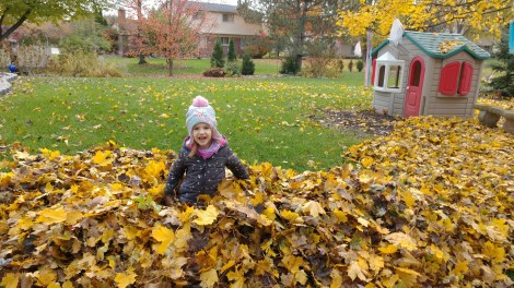 IMG_20181104_100339469